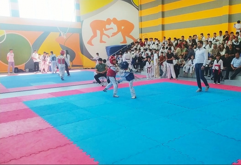 Taekvando üzrə Ağcabədi rayon turnirində 100-dən çox idmançı mübarizə aparıb