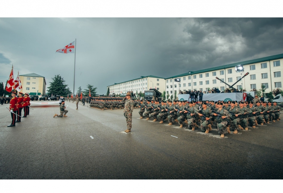 Gürcüstanda Müdafiə Qüvvələri Günü qeyd olunub