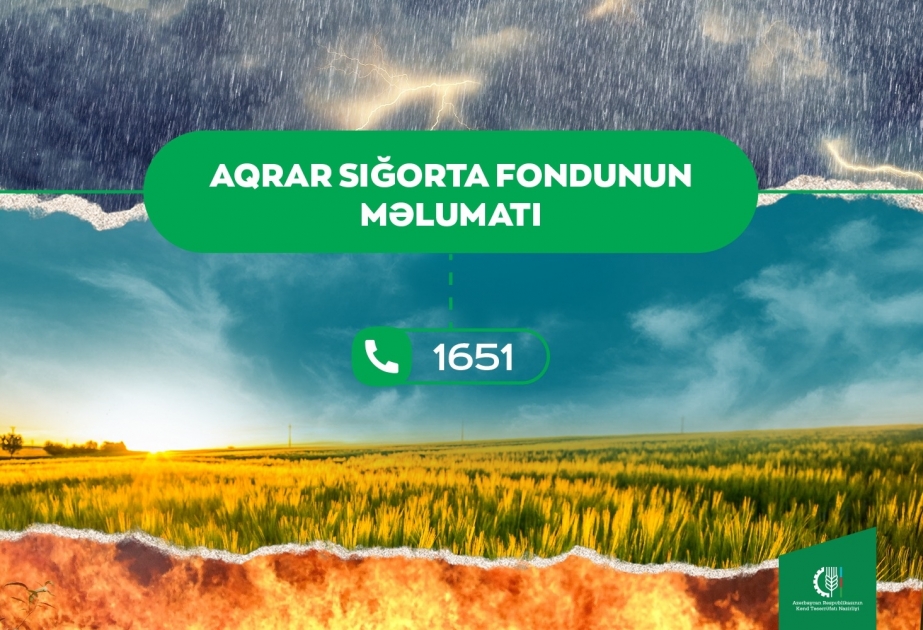 Qeyri-sabit hava şəraitinin təsərrüfatlara vurduğu zərərlə bağlı Aqrar Sığorta Fonduna 92 müraciət daxil olub