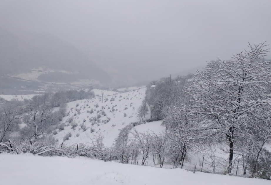 Фактическая погода: высота снежного покрова в Шахдаге составила 8 сантиметров