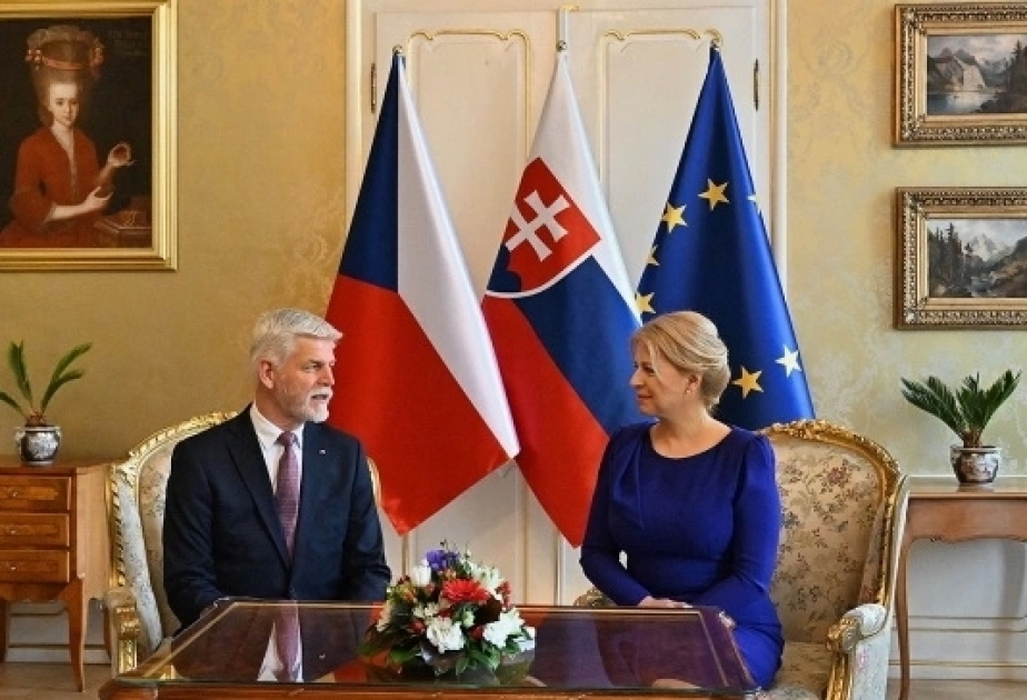 捷克和斯洛伐克两国总统访问基辅