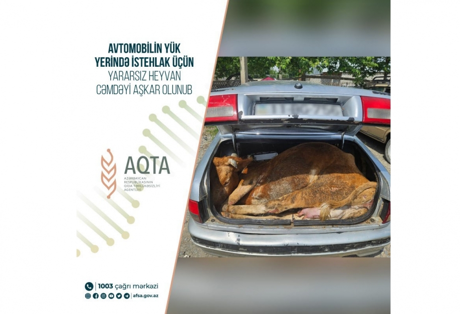 Avtomobilin yük yerində istehlak üçün yararsız heyvan cəmdəyi aşkarlanıb