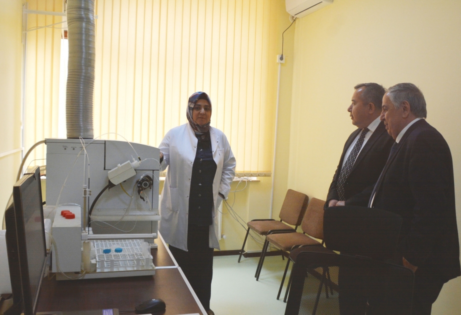 Özbəkistan Elmlər Akademiyasının vitse-prezidenti Fizika İnstitutunda olub