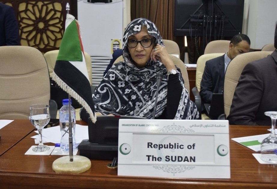 Communiqué final de la Réunion d’urgence à composition non limitée du Comité exécutif de l’OCI sur la situation au Soudan