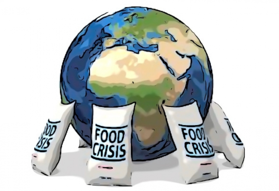 Продовольственный кризис: число недоедающих возросло до 258 миллионов человек в 58 странах

