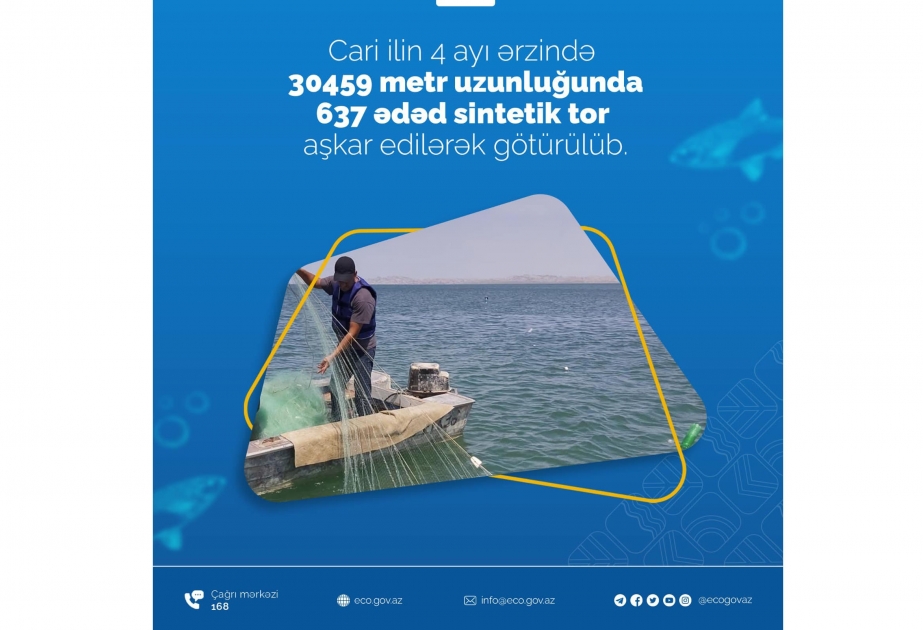 Bu ilin dörd ayı ərzində su hövzələrindən 637 sintetik tor aşkar edilərək götürülüb