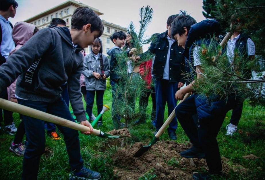 Ulu Öndərin 100 illiyinə həsr edilən "Bizimlə böyüyən ağac” layihəsinin təqdimatı olub