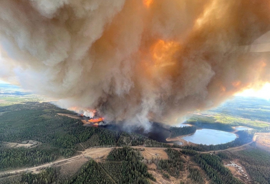 Waldbrände in Kanada: Tausende Hektar in Flammen