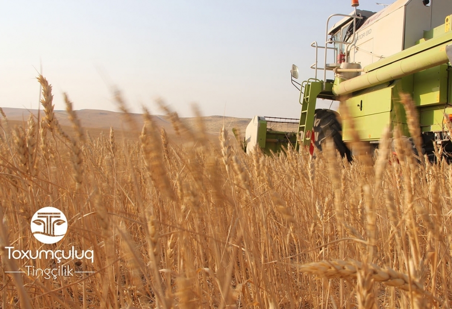 ®  "Tokhumchulug ve Tingchilik” company invites you to its stand at the "Caspian Agro 2023" exhibition