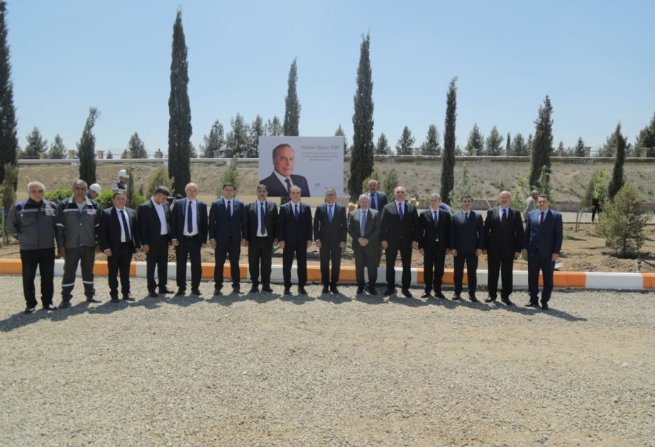 Gəncədə ağacəkmə aksiyası keçirilib