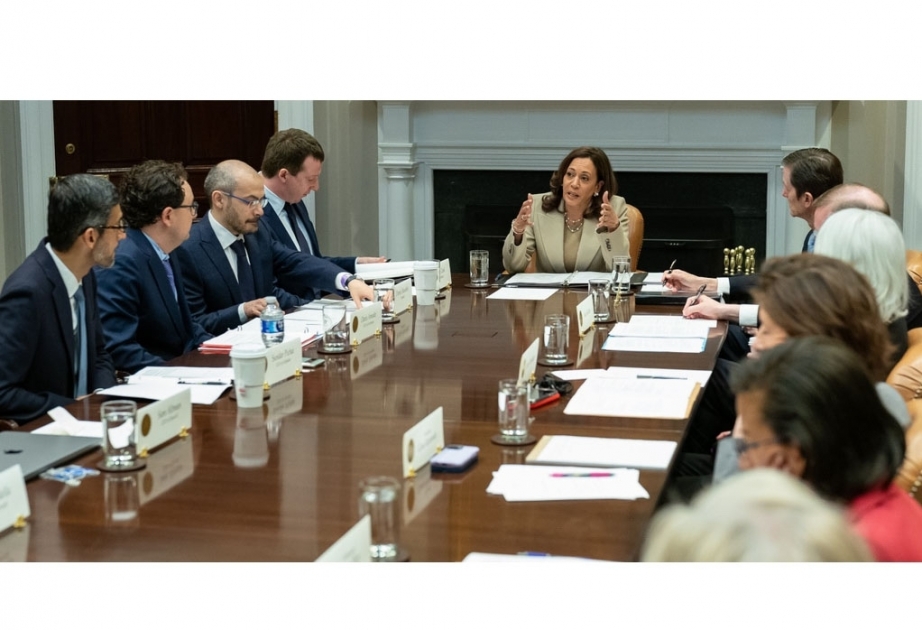 Biden, Harris meet with CEOs about AI risks