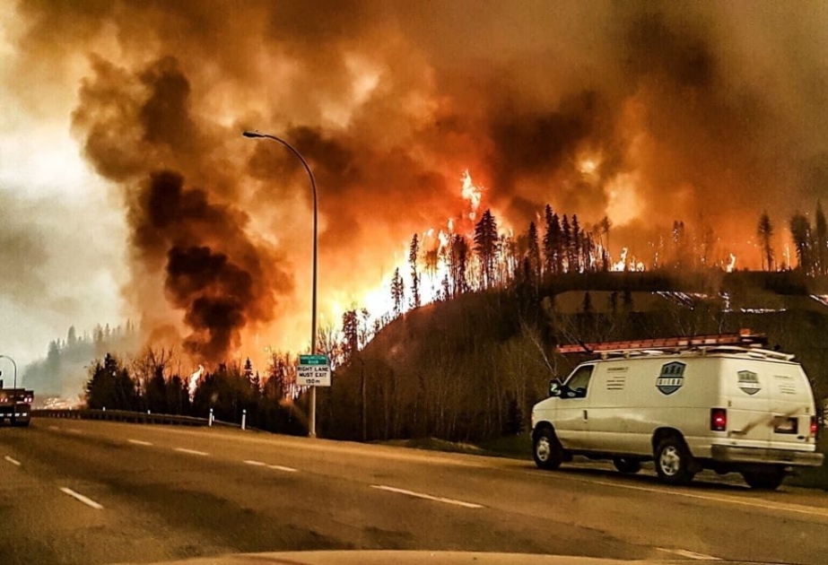 Kanada: Provinz Alberta ruft wegen Waldbränden den Notstand aus