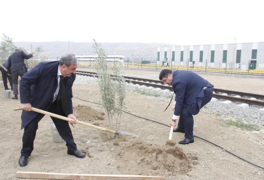 Bakı Metropoliteni “Heydər Əliyev İli” çərçivəsində ağacəkmə aksiyası keçirib