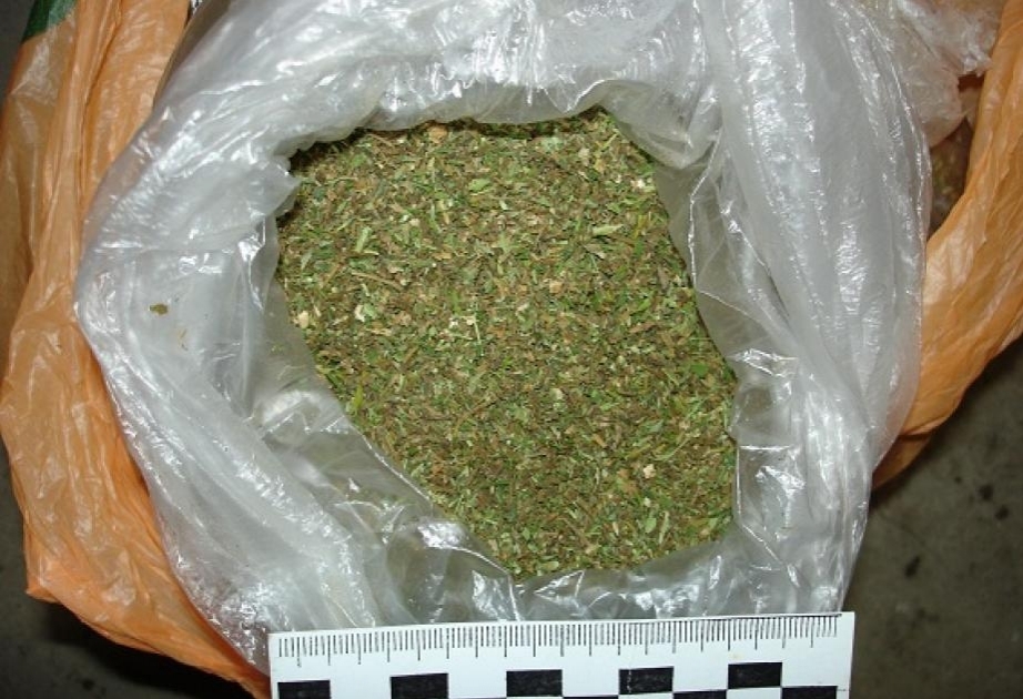 Ötən gün 12 kiloqrama yaxın marixuana aşkarlanıb