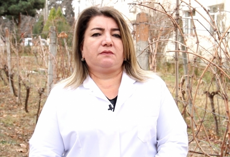 Dolu vurmasının fəsadları - Üzümlükləri necə qorumalıyıq? –  fermerlərə tövsiyə