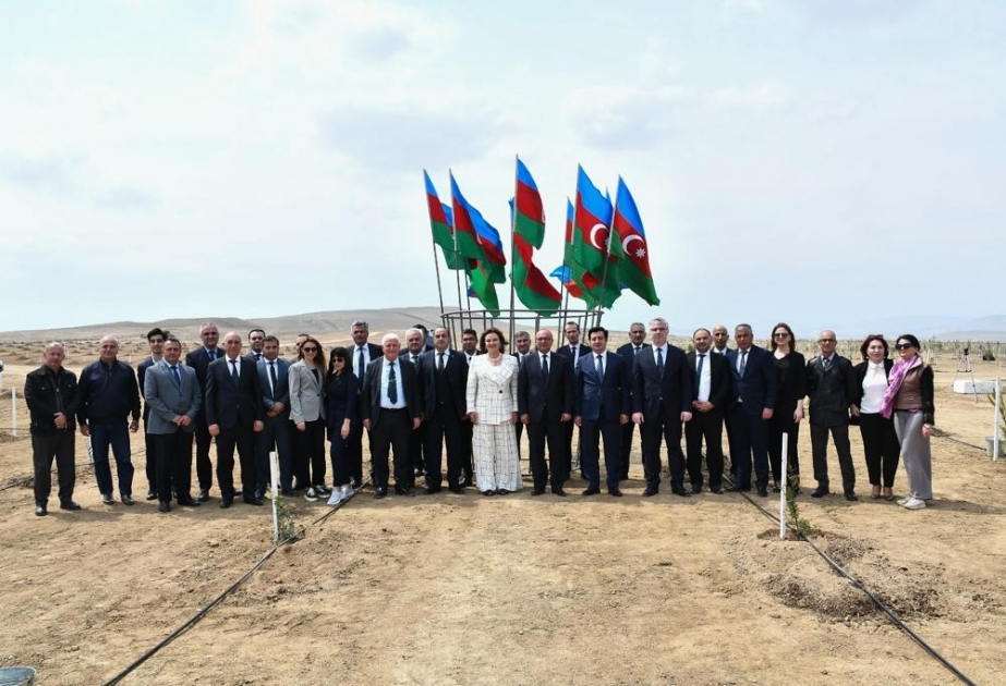 ANAMA Heydər Əliyevin 100 illik yubileyi ilə əlaqədar ağacəkmə aksiyası keçirib