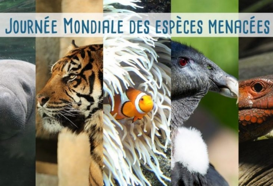 Aujourd’hui, Journée mondiale des espèces menacées