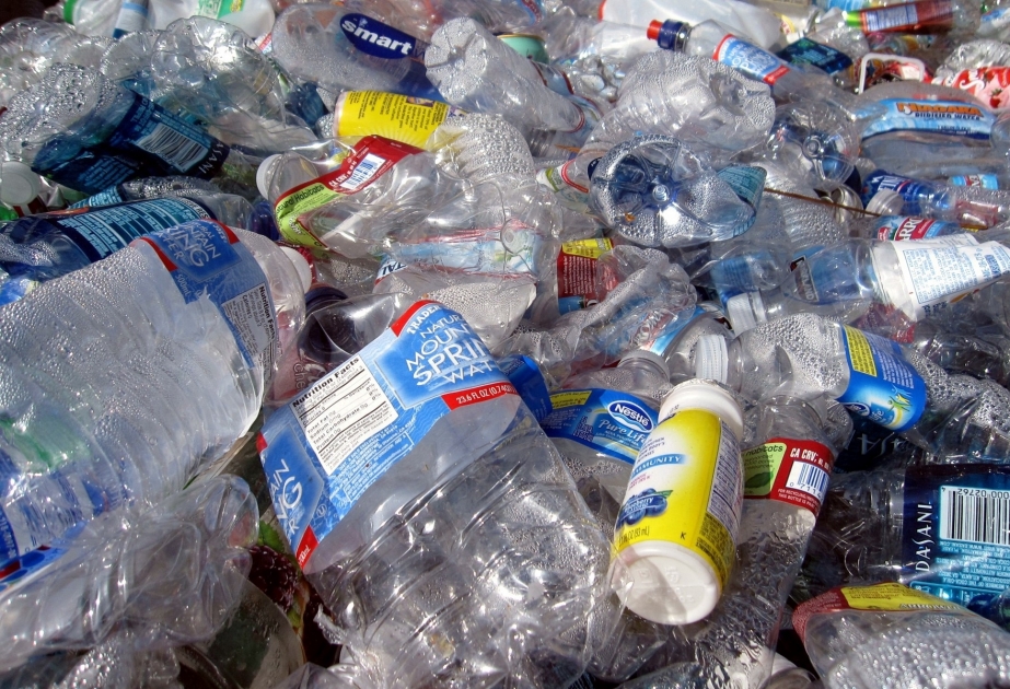 Arktika və Alp dağlarında aşağı temperaturda plastiki parçalayan mikroblar aşkar edilib