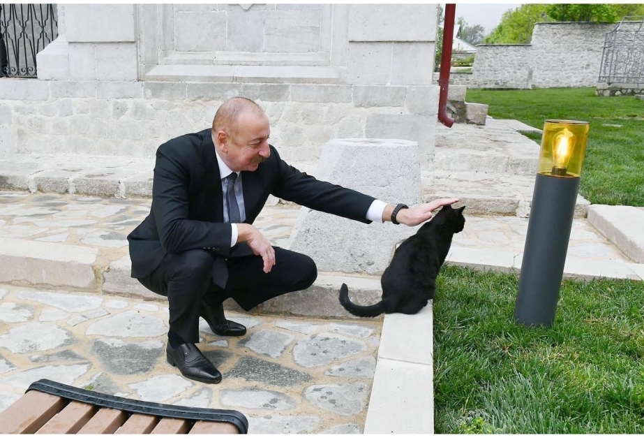 First Vice-President Mehriban Aliyeva shared Instagram post from Shusha VIDEO