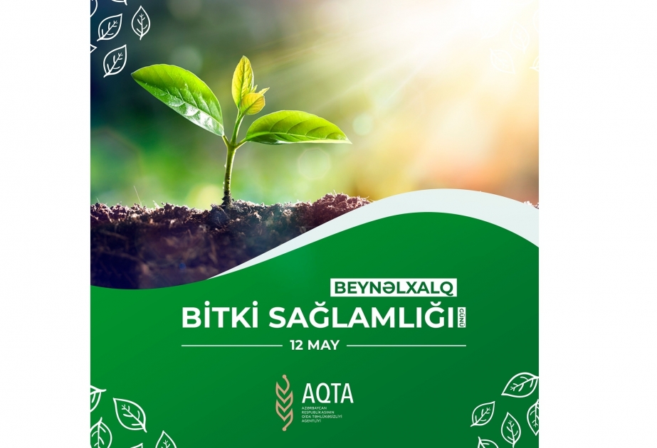 Le 12 mai, c’est la Journée internationale de la santé des végétaux