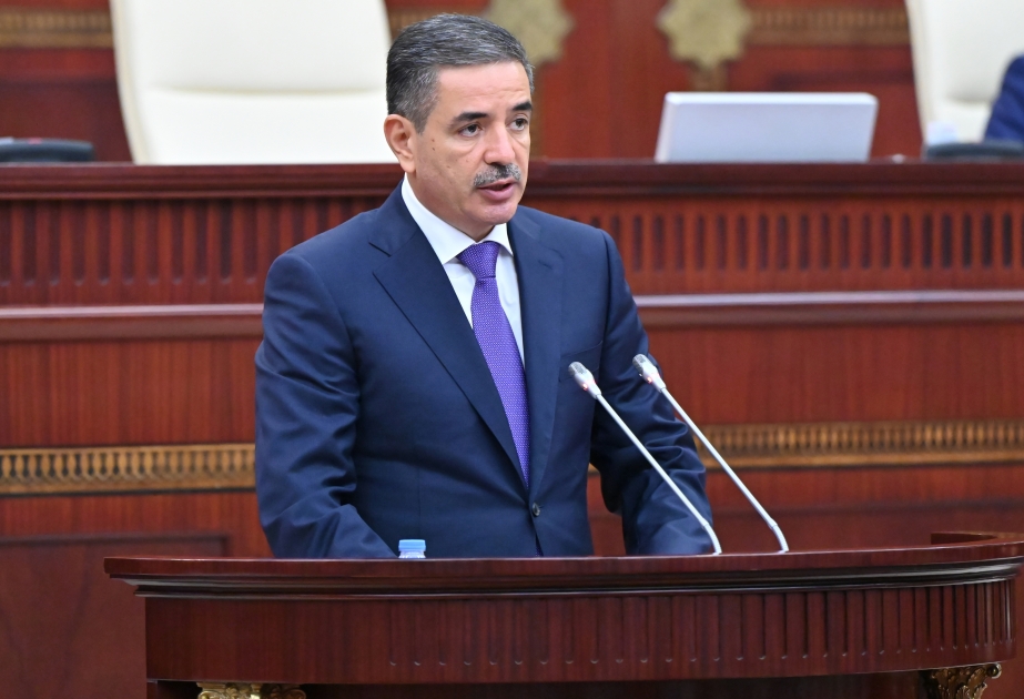 Milli Məclis İnsan alverinə qarşı mübarizə üzrə Milli Koordinatorun illik məlumatını təsdiqləyib