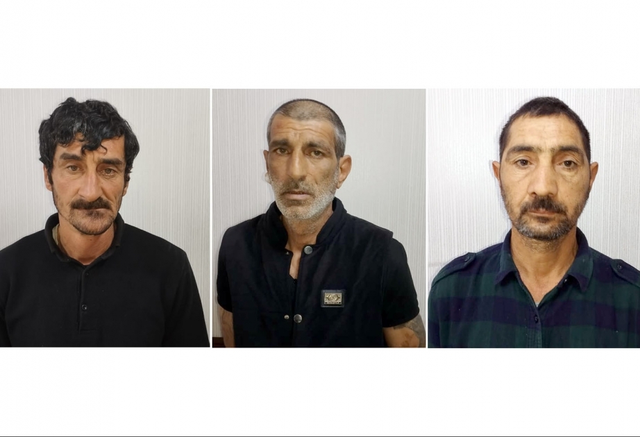 Ucarda fərdi yaşayış evlərindən oğurluq edən dəstə zərərsizləşdirilib