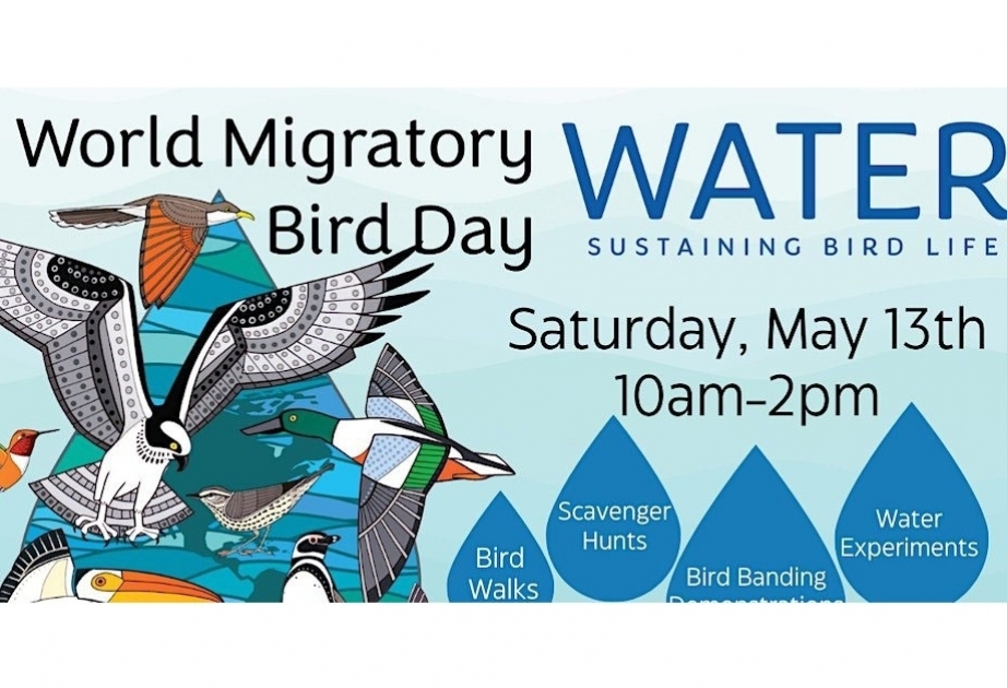 Second Saturday in May marking World Migratory Bird Day