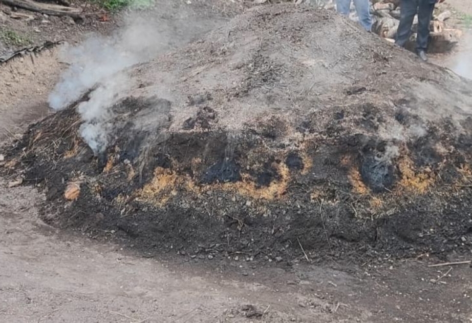 Qanunsuz ağac kömürü istehsal edilən quyular aşkarlanıb