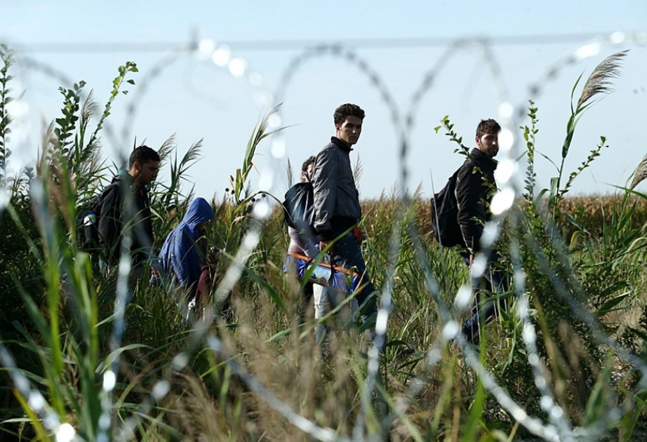 Beynəlxalq Miqrasiya Təşkilatı: Qərbi Balkan ölkələrində qanunsuz miqrasiya artır