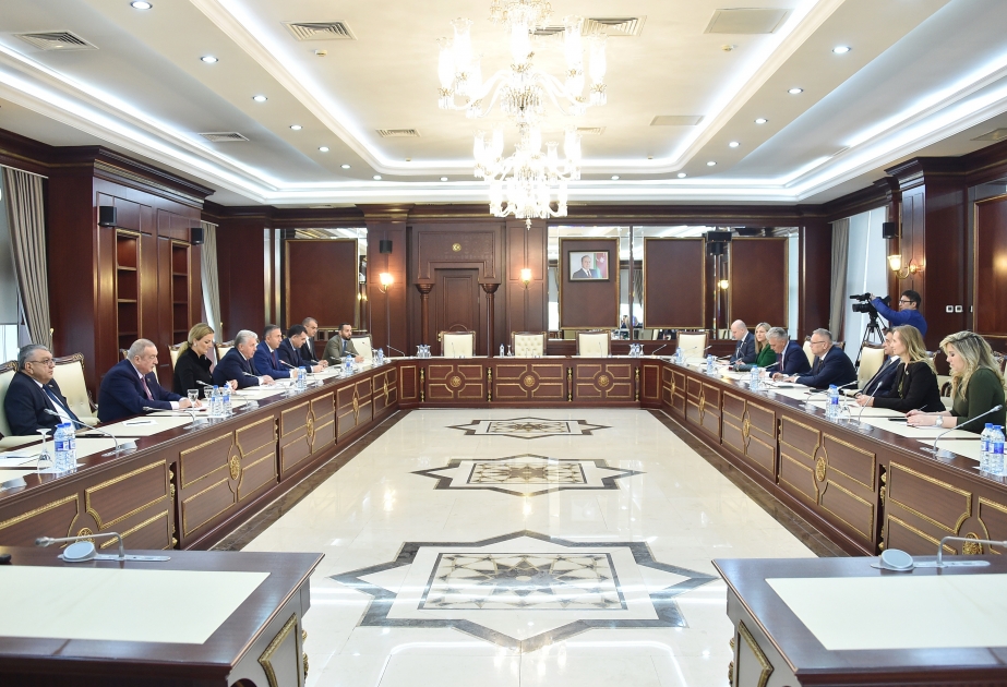 Xorvatiyanın parlament nümayəndə heyəti Milli Məclisdə olub