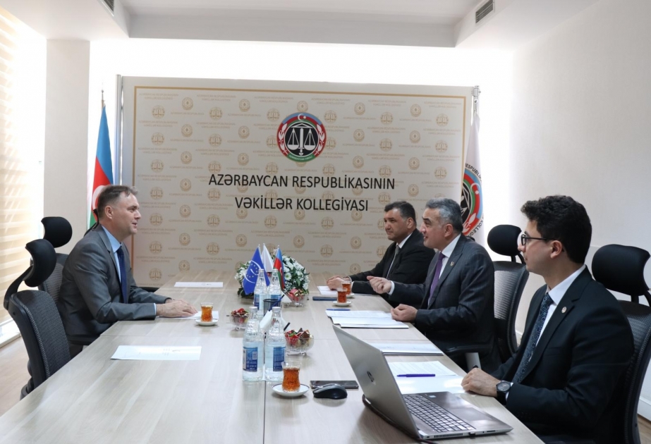 Avropa Şurası ilə Vəkillər Kollegiyasının əməkdaşlığı insan hüquq və azadlıqlarının müdafiəsində mühüm rol oynayır