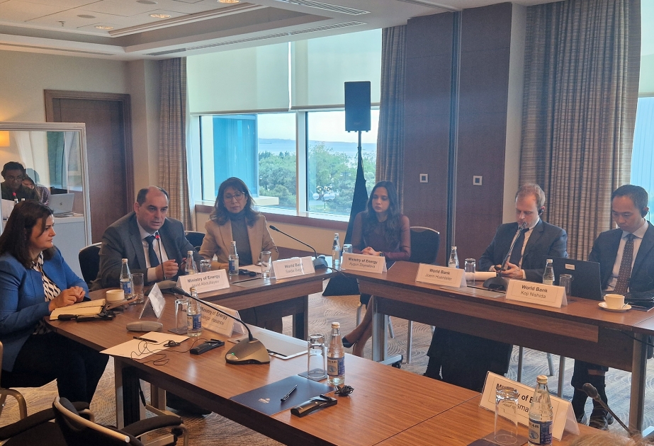 Azərbaycanın elektroenergetika sistemində bərpaolunan enerjinin payı artırılacaq
