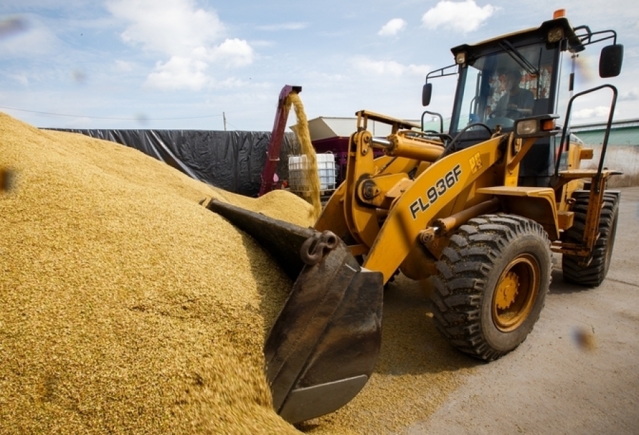 Grain deal prolonged by 60 days — Erdogan