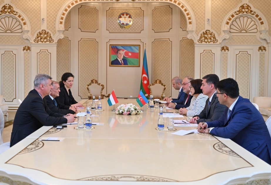 Azerbaijan, Hungary discuss expansion of cooperation in various areas
