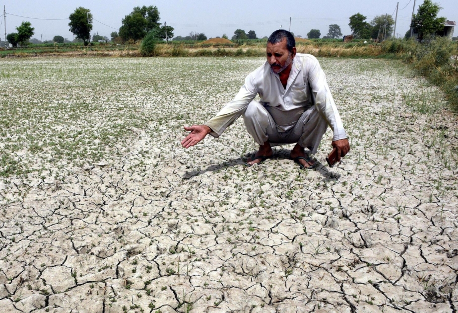 Erderwärmung: Klimakatastrophe in Indien