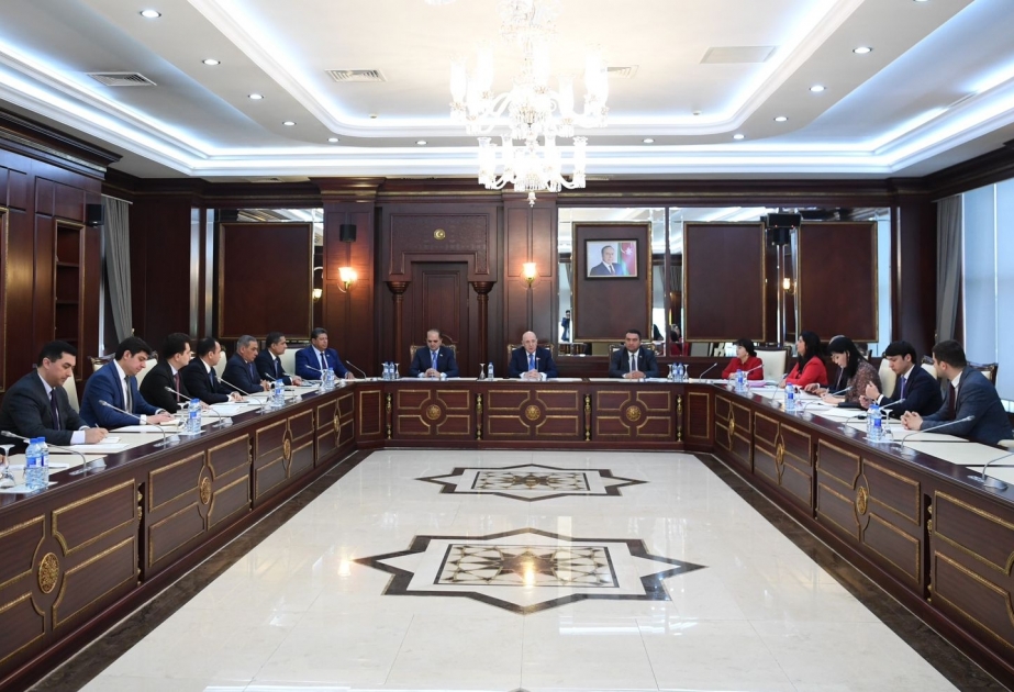 Milli Məclisin Səhiyyə komitəsi daha iki qanun layihəsini plenar iclasa tövsiyə edib