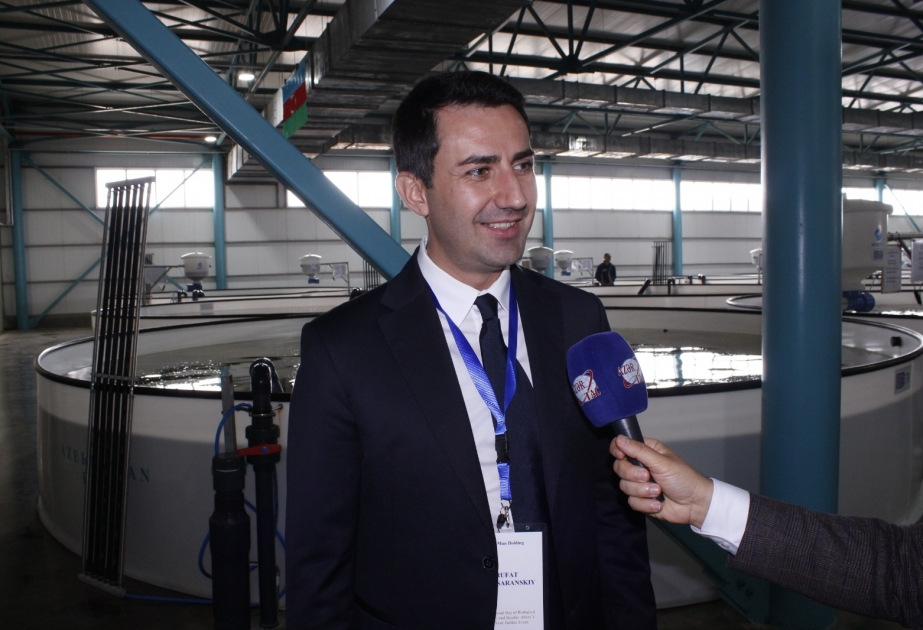 Rüfət Tabasaranski: 2026-cı ilədək satışa hər il 10 ton kürü və 170 ton nərə balığı çıxarmağı planlaşdırırıq