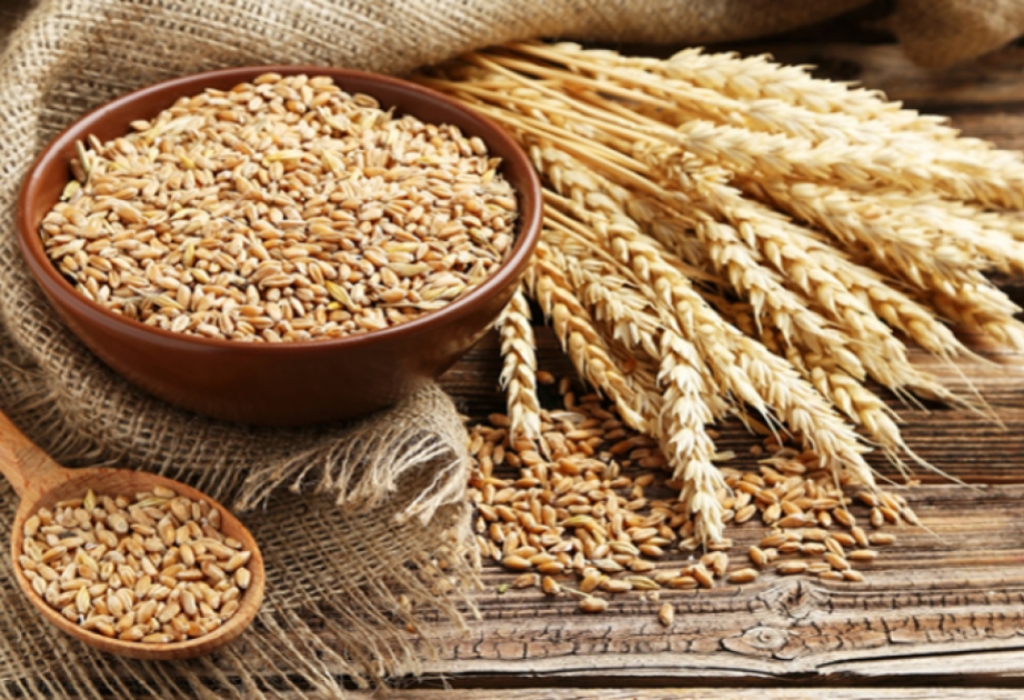 Azerbaiyán aumenta las importaciones de trigo
