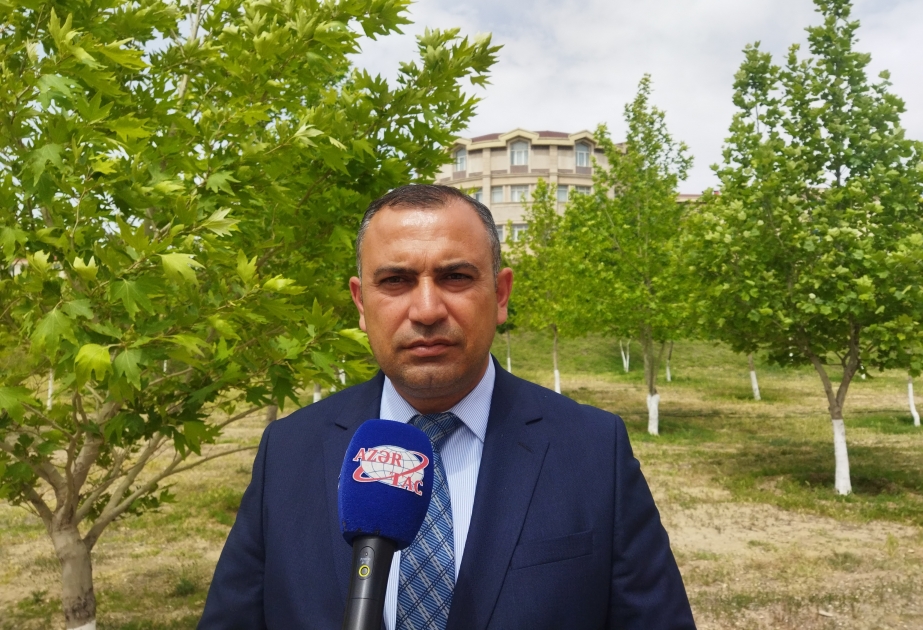 Günnüt əməliyyatının uğurla yerinə yetirilməsi hərbçilərimizin döyüş qabiliyyətinin yüksək səviyyədə olmasını sübuta yetirdi –  Şərh