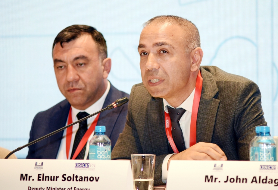 Elnur Soltanov: Azərbaycan qonşu Ermənistana enerji sahəsində əməkdaşlıq təklif edir