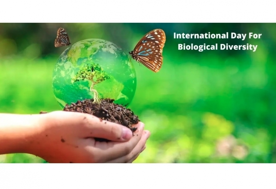 22. Mai - Internationaler Tag der biologischen Vielfalt