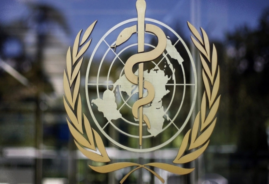 Доклад ВОЗ: Три четверти всех смертей на планете происходят по причине неинфекционных болезней