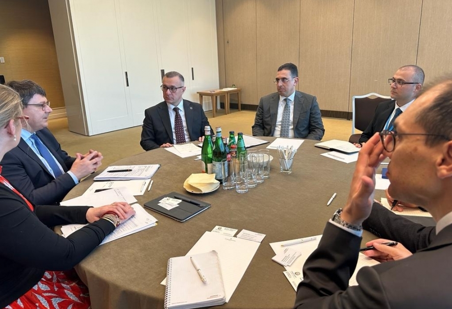 Delegación del Ministerio de Sanidad de Azerbaiyán mantuvo una reunión con la dirección de "Siemens Healthineers"