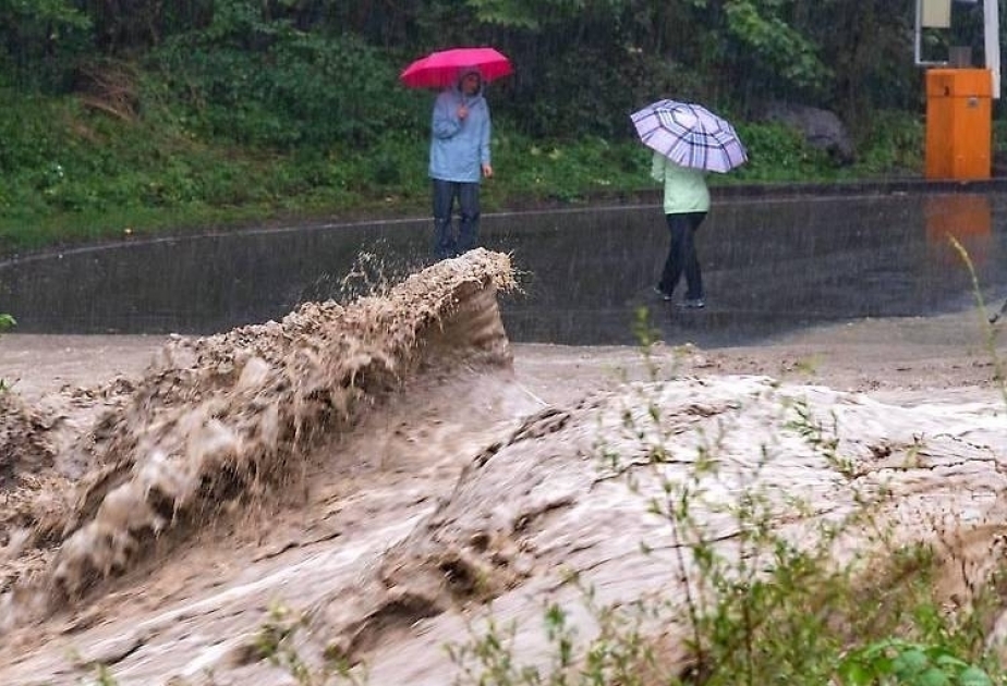 Condiciones meteorológicas extremas han causado la muerte de 2 millones de personas: Agencia de la ONU