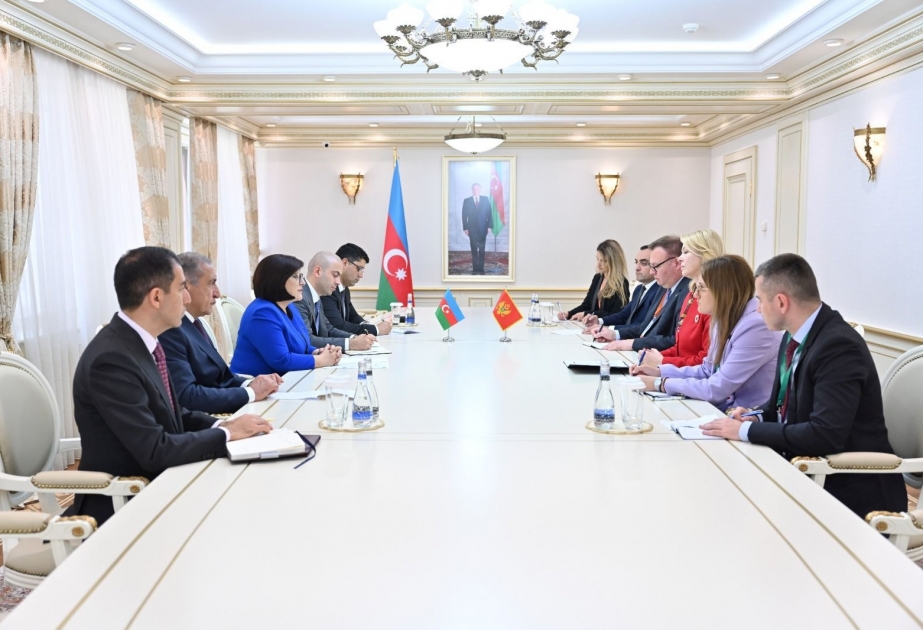 Monteneqro parlamentinin sədri Qarabağda və Şərqi Zəngəzurda görülən işlər barədə məlumatlandırılıb