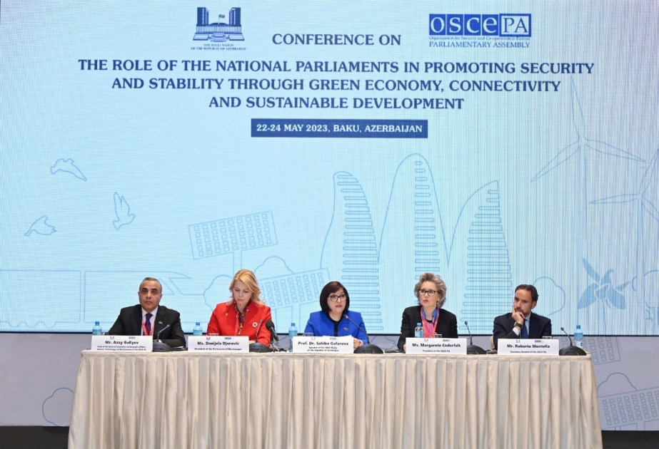 Se discute el papel de los Parlamentos nacionales en la economía verde