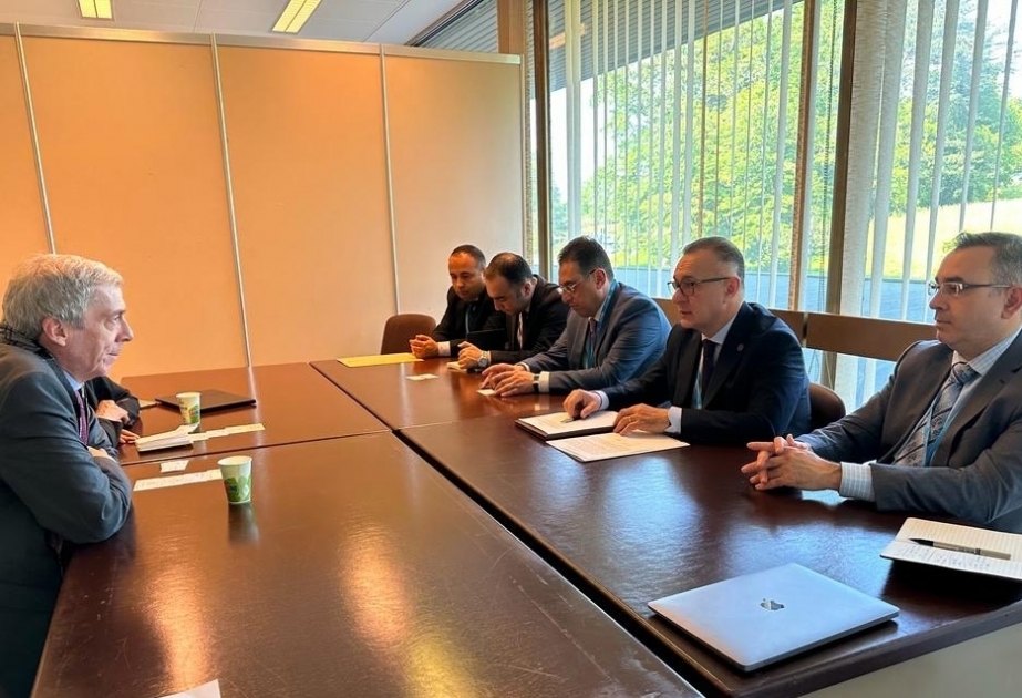 La delegación de Azerbaiyán celebra varias reuniones bilaterales al margen de la Asamblea Mundial de la Salud