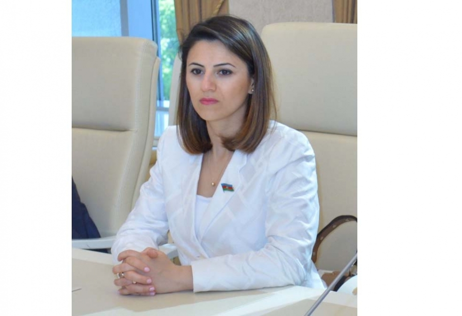 Azərbaycan ilə Litva arasında əməkdaşlıq münasibətləri yeni müsbət dinamikada inkişaf edir