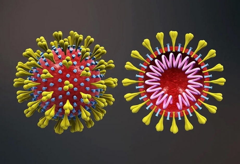 Coronavirus in Aserbaidschan: Zahlen im Überblick