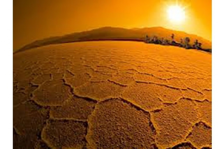 Исследование: К концу века человечество может столкнуться с опасной жарой

